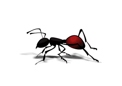 Ant