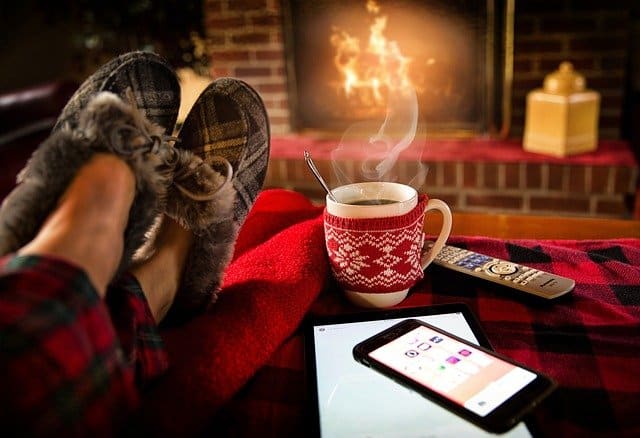 How Does Winter Weather Affect Pests in the Home